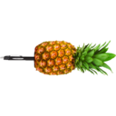 PPAP Detector